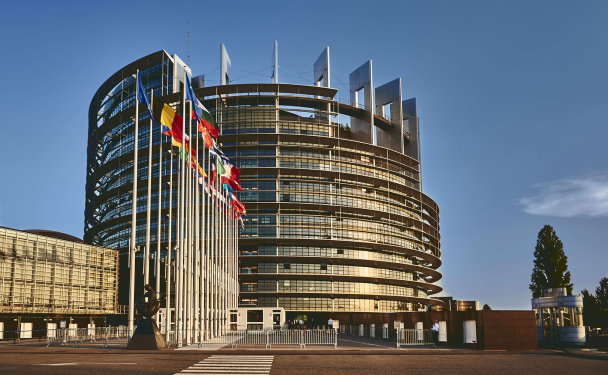 Diplomatic Visit Strasbourg, France
