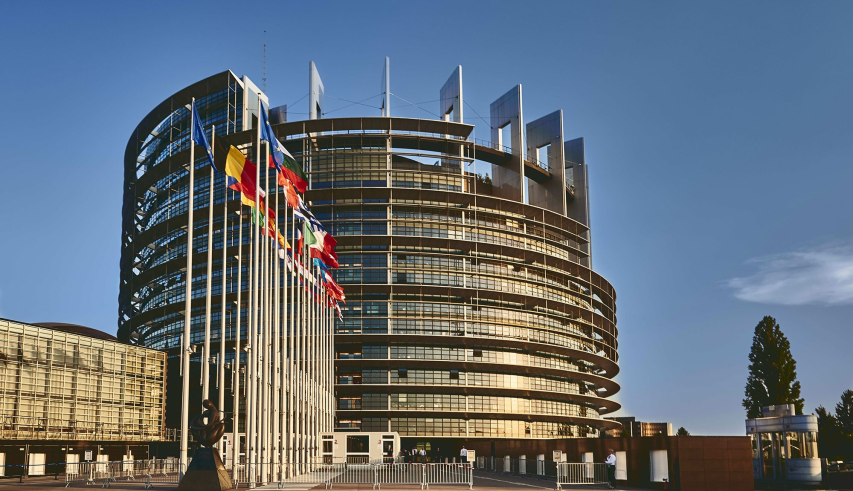 Diplomatic Visit Strasbourg, France